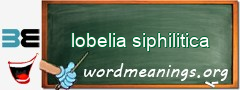 WordMeaning blackboard for lobelia siphilitica